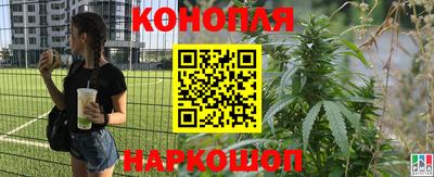 бошки Гусь-Хрустальный