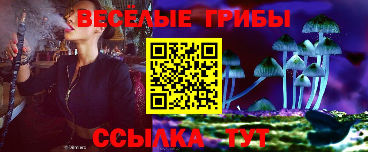 Галлюциногенные грибы MAGIC MUSHROOMS  Вход с VPN  Малгобек 